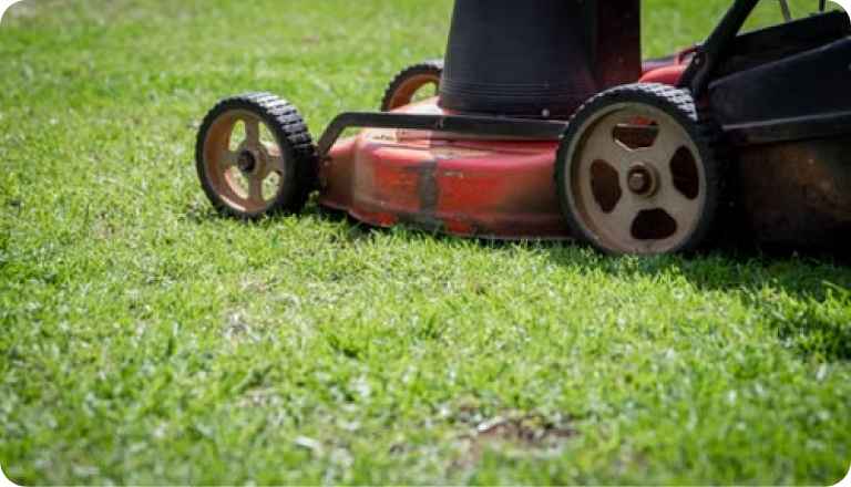 A mower on a freshly cut lawn