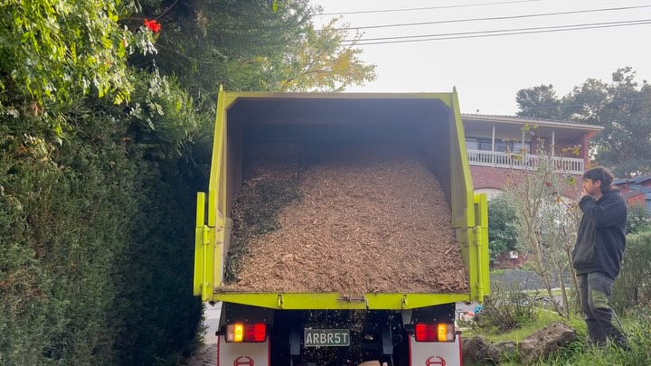 Yellow arborist tipper unloading during mulch deliveries