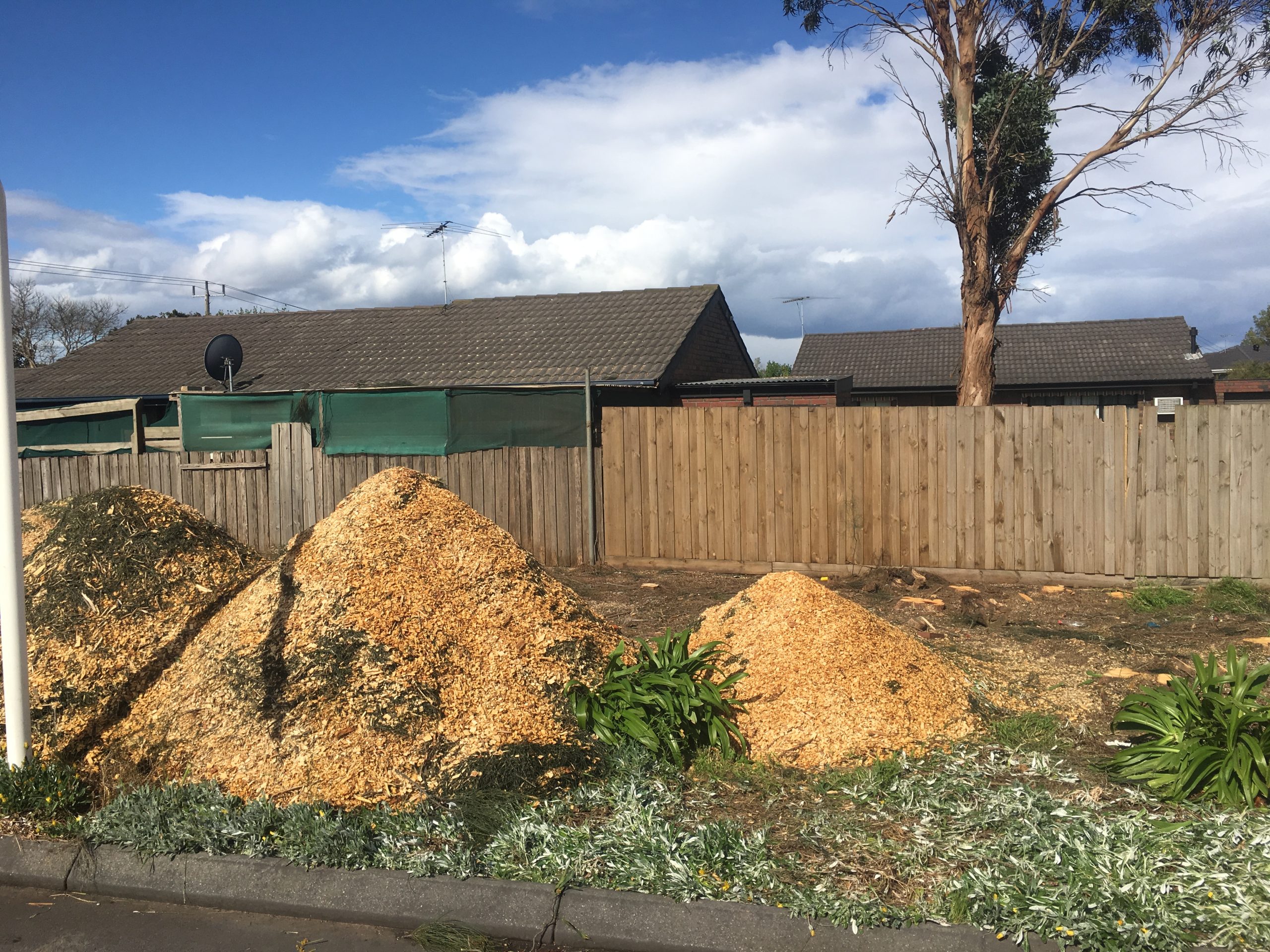 Multiple piles from suburban mulch deliveries