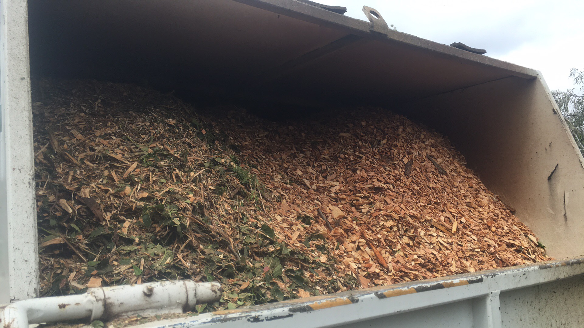 Arborist tipper carrying green leaf mulch and clean wood chips for mulch deliveries