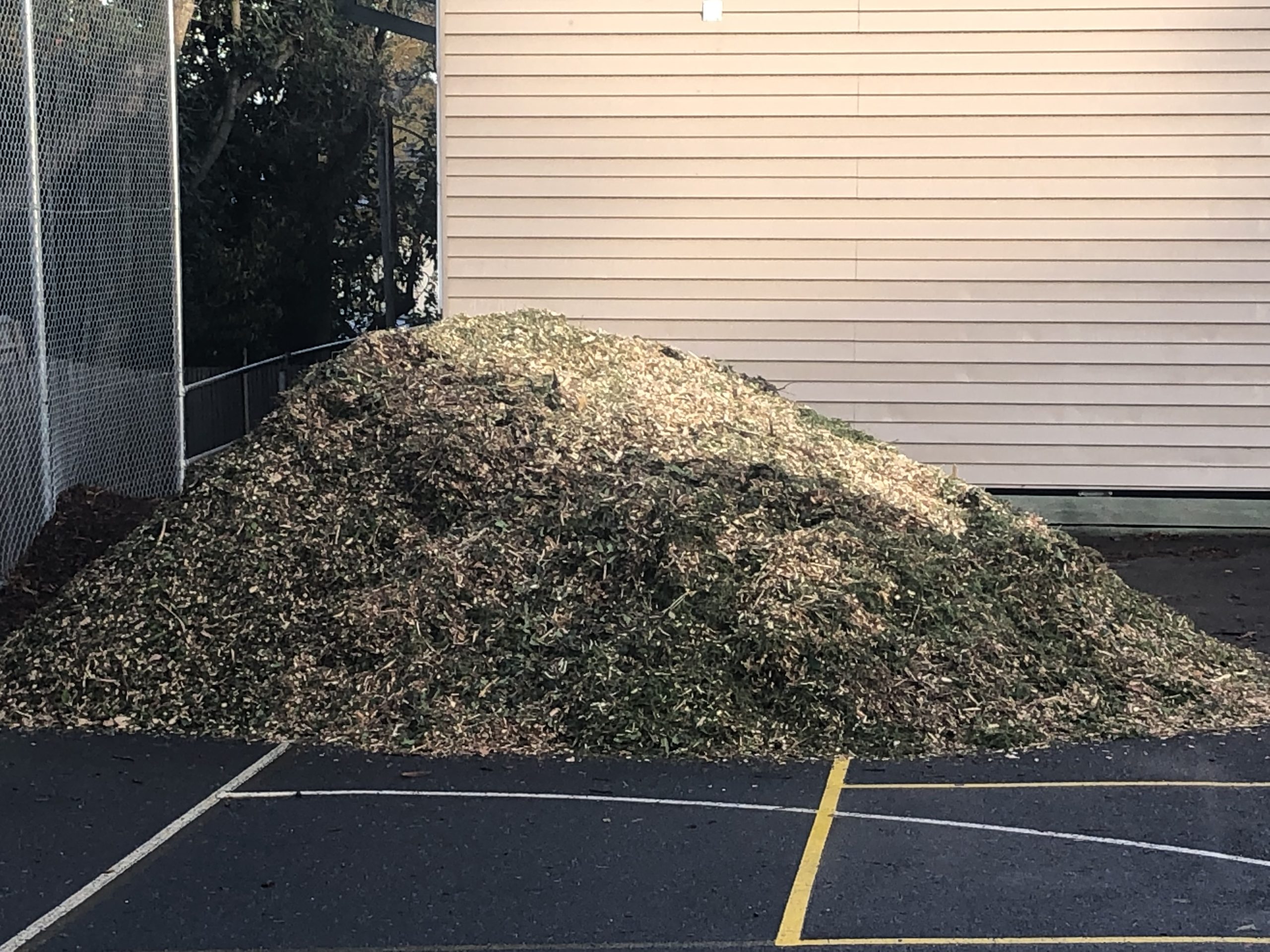 Large pile from mulch deliveries on asphalt hardstand