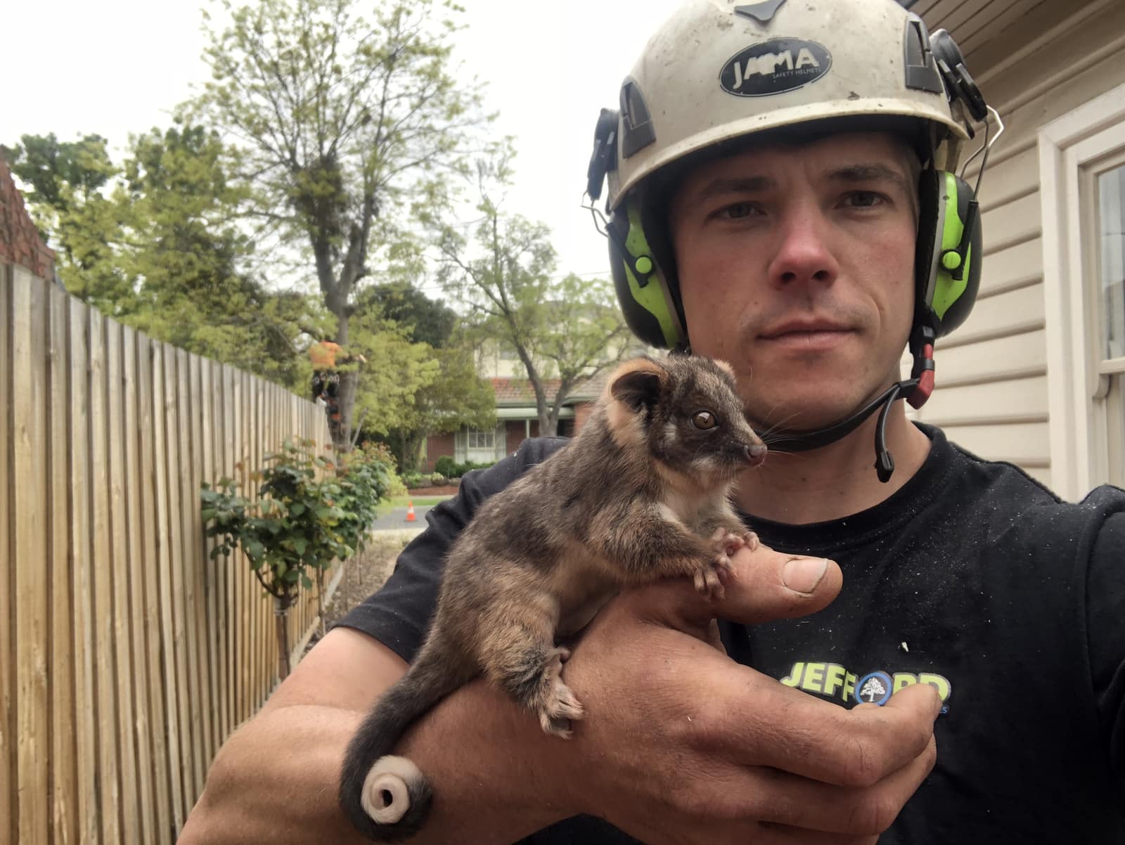 Pete Jefford in climbing helmet with a ringtail possum on a job site