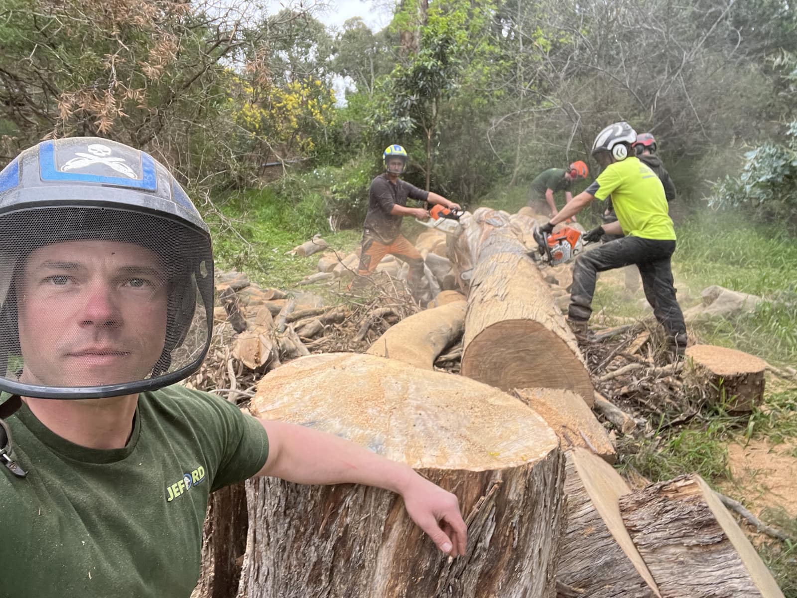 Pete Jefford on a large stump with his crew cutting up a felled tree