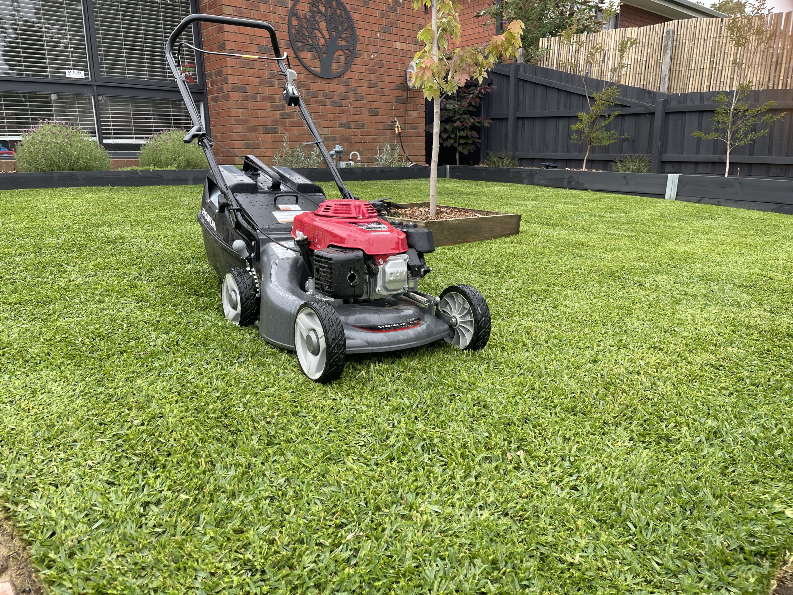 Lawn Mowing