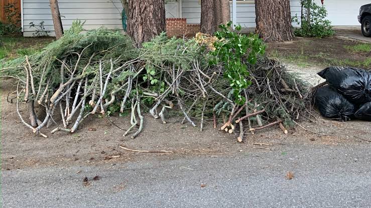 Chipping Pile