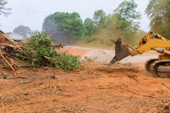 Land/ Site Prep
